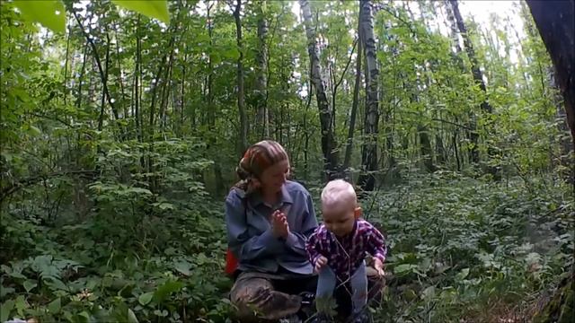 Прогулка по лесу в Подмосковье, грибы лисички_A walk in the woods in the suburbs смотреть онлайн