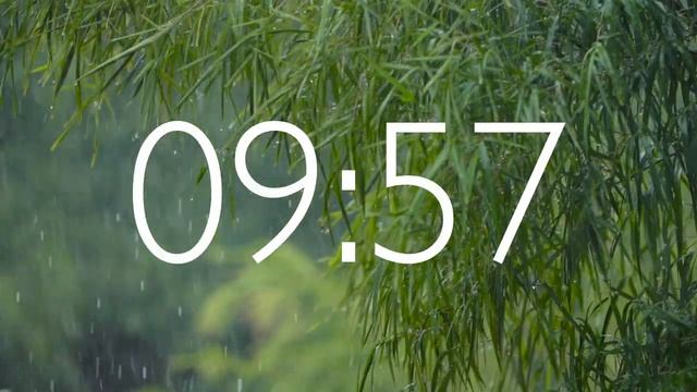 20 Minute Timer with Sounds of Rain and Alarm смотреть онлайн