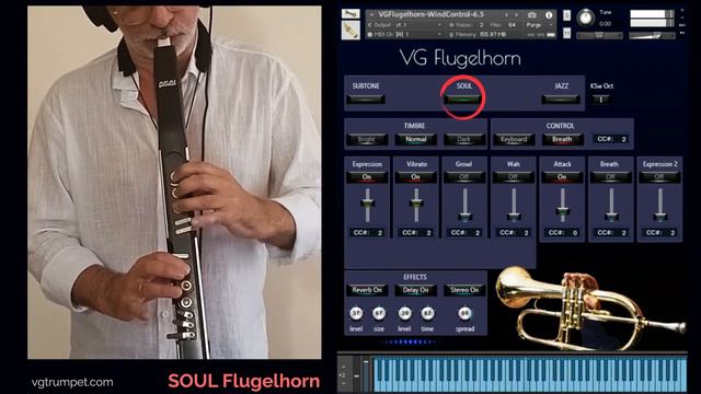 AKAI EWI4000s And VG Flugelhorn Sound Library For NI Kontakt. Brass Vst Plugin, Wav.