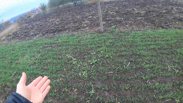 Земледелие/Окончание сезона 2020/Сидератная подготовка смотреть онлайн