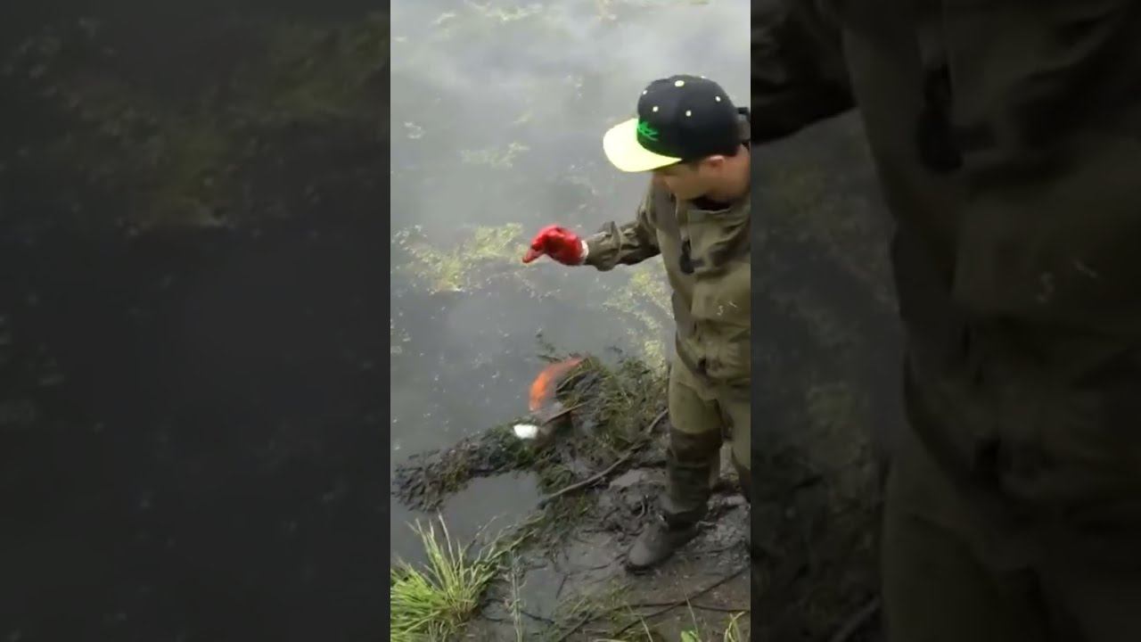 Магнитная рыбалка возле военной базы пошла не по плану! смотреть онлайн