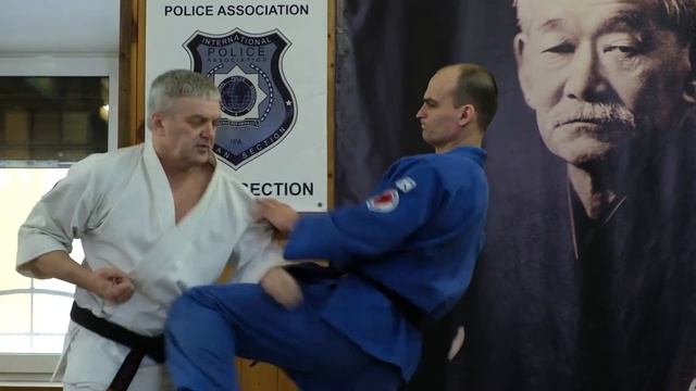 NA BUDO 41 GRACHEV 4 DAN JIU JITSU смотреть онлайн
