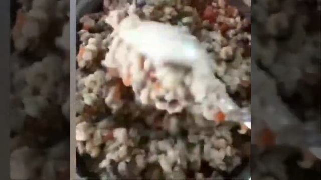 Перлотто с грибами Nechaev Family Club смотреть онлайн