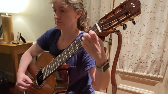 Snowflight by Andrew York (1st half only) take 1 смотреть онлайн