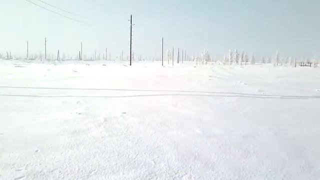 Заполярный Урал! смотреть онлайн