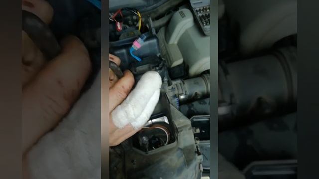 Брянск BMW E65 смотреть онлайн