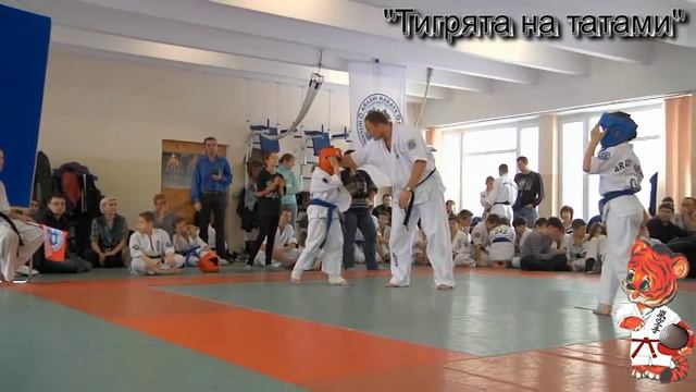 Турнир среди "новичков" по Араши Карате 10.02.2013 г. г. Киев смотреть онлайн