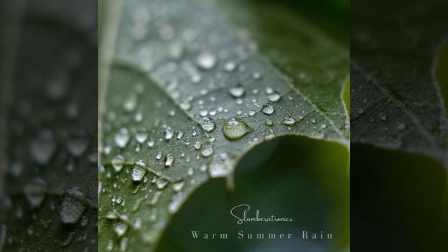 Warm Summer Rain 3 смотреть онлайн
