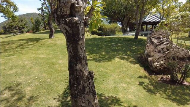 VINPEARL ВИНПЕРЛ : САМЫЙ ПОЛНЫЙ ОБЗОР