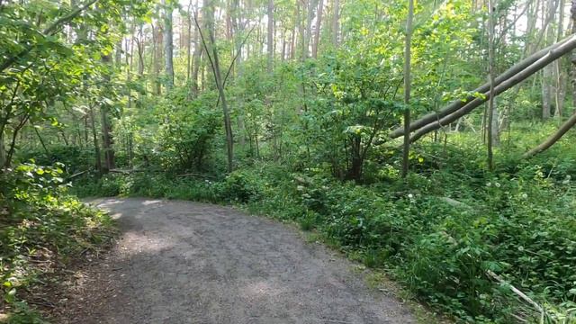 Exploring Sandefjord - Kyststien - Vestfold | The Coastal Path Hiking Trail смотреть онлайн