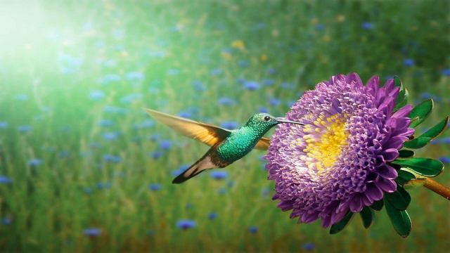 Trent Reznor & Atticus Ross - Just Us (Gadi Mitrani Remix) смотреть онлайн