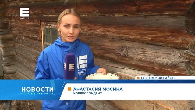 Жительница таёжного села в Красноярском крае разводит страусов смотреть онлайн