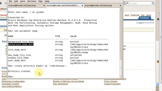 Using the RMAN Recovery Catalog - Ch 3 - P2 смотреть онлайн