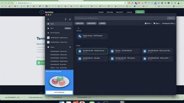 Best Putty Alternative : Termius SSH Client for Mac, Windows & Linux