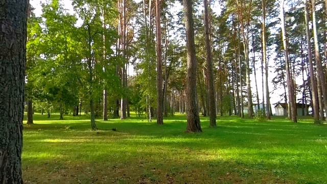 Санаторий "Голубые озера"... смотреть онлайн