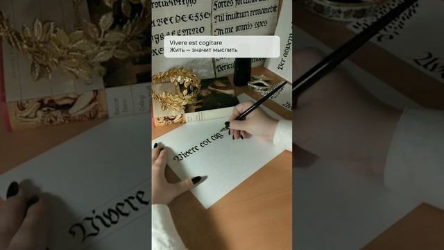 Vivere est cogitare смотреть онлайн