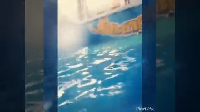 Поездка в аквапарк "лимпопо"✨? смотреть онлайн