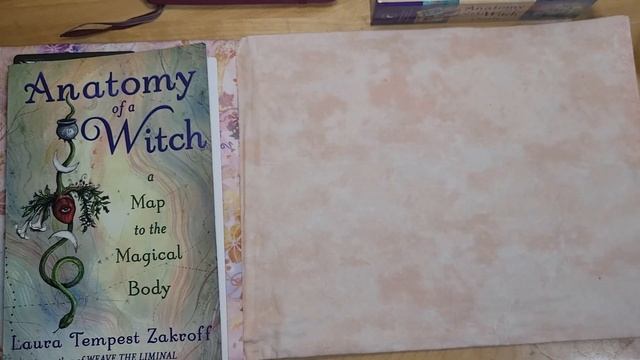 Anatomy of a Witch Book and Oracle - Deck and Book Club - Introducing Ch. 1 - Witch Lungs смотреть онлайн