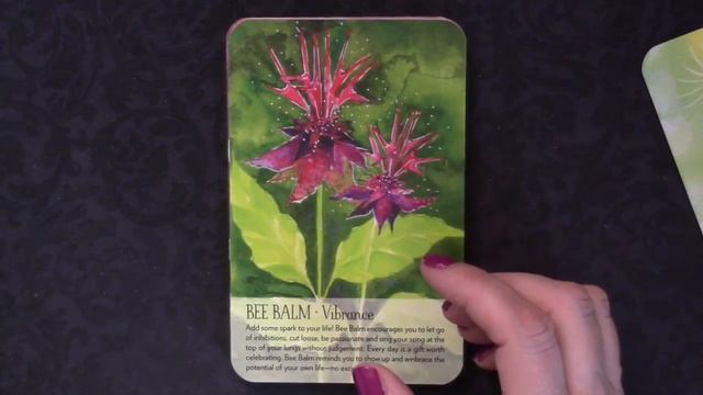 Soulflower Oracle смотреть онлайн