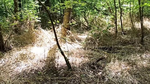 выезд на мопеде коп по металу. смотреть онлайн