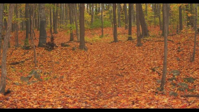 4KHDR DEMO | PURE COLOR  (Rendered In New M1 Pro 10 Core MacBook Pro) 10000 NITS