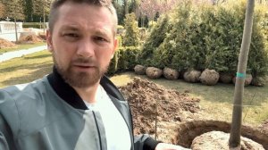 Процесс посадки крупномеров липы. #аллея #липа #крупномеры #vlog