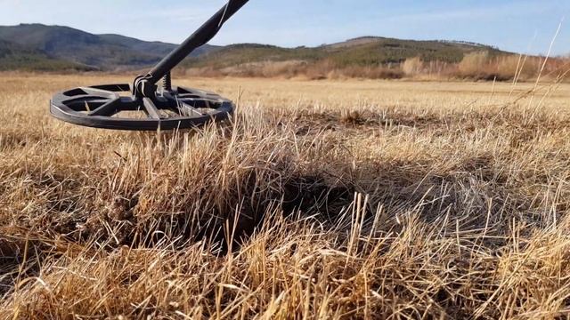 Поиск монет с Equinox 800 (от Minelab) смотреть онлайн