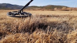 Поиск монет с Equinox 800 (от Minelab)