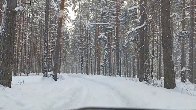Лада 4х4/Зимние или всесезонные шины на Ниву? Шины на Ниву зимой/Lada 4x4 смотреть онлайн