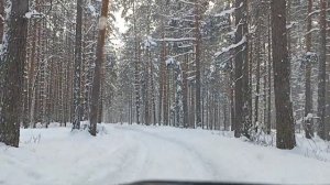 Лада 4х4/Зимние или всесезонные  шины на Ниву? Шины на Ниву зимой/Lada 4x4