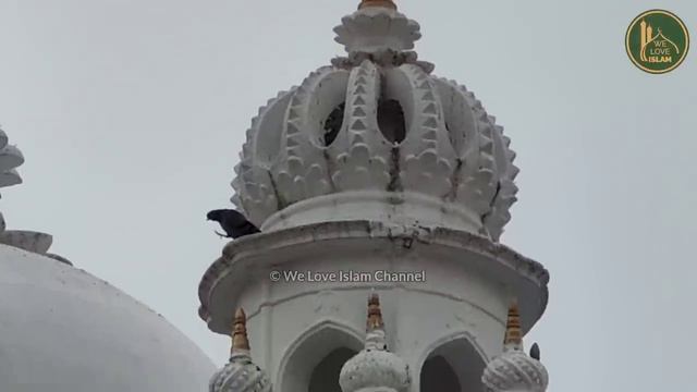 Dewa Sharif Dargah Ziyarat | Sarkar Waris Paak Ki History Aur Karamat смотреть онлайн