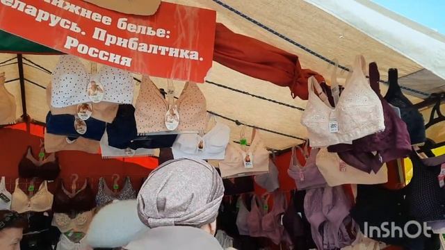 ВЫСТАВКА "ДАЧНЫЙ СЕЗОН" 2 ЧАСТЬ?РОСТОВ 2022г. смотреть онлайн