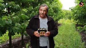 Как отпугивать скворцов от черешни - отзыв профессионального садовода про отпугиватели птиц Коршун