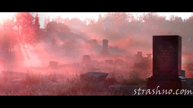 Ночная «прогулка» по кладбищу смотреть онлайн