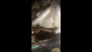 HONDA DIO AFzx 35 ? ?❓ Как проверить вакуумный насос и настроить подачу масла