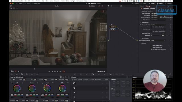 Клинап в DaVinci Resolve на закладке Color. Мастер-класс (2024) смотреть онлайн