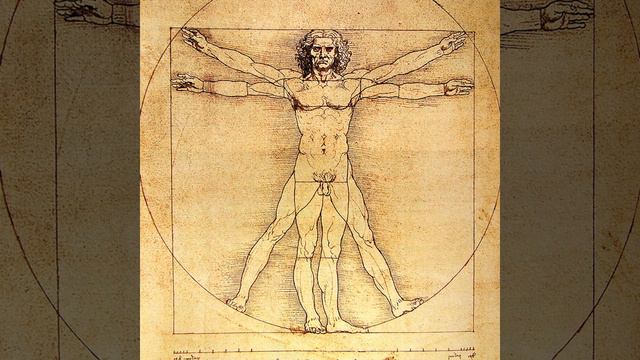 Episode 05 - Canons of proportion смотреть онлайн