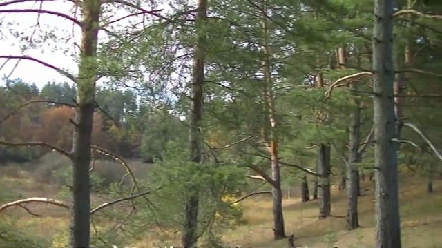 Осенний пейзаж 10 - Осень(1) смотреть онлайн