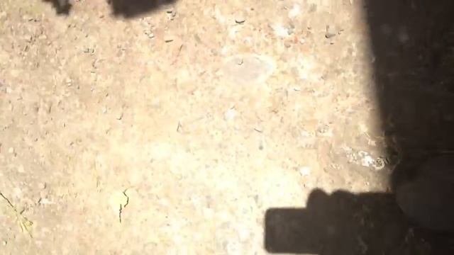 Any ideas on what is causing this sound? 1999 ford crown Vic interceptor with 4.6 v8 смотреть онлайн