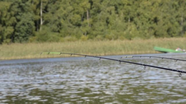 Поклевки на фидер 2020