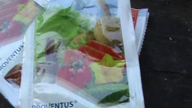 Хурма  какие срочно нужно провести работы ,что бы хурма выжила