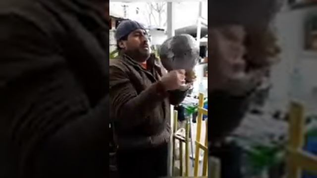 Гриф и гиря. смотреть онлайн