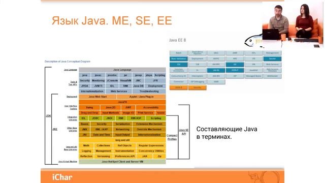 Обзор языка Java и его инфраструктуры смотреть онлайн
