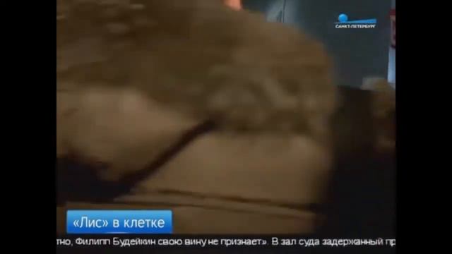 СРОЧНО! Синий кит прячется за Стикерами ЛИС ВКонтакте Тихий дом вернулся смотреть онлайн