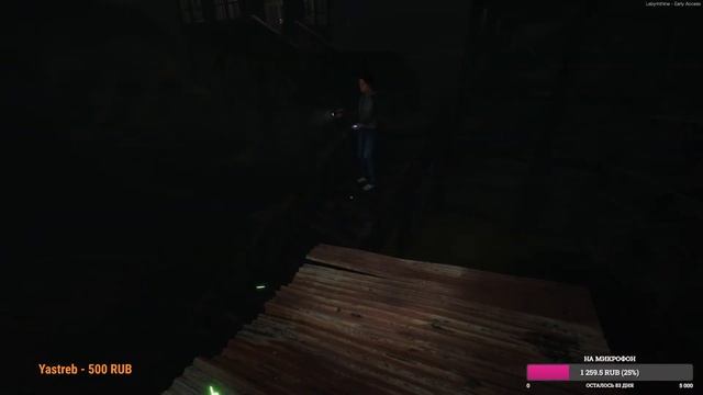 В конце бесконечного лабиринта - Labyrinthine#5