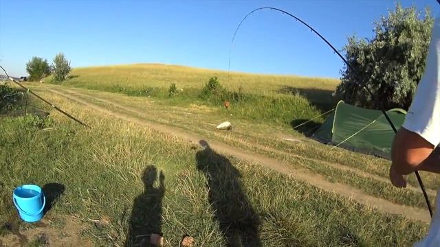 Ловля трофейного амура. Новоселицкое водохранилище. смотреть онлайн