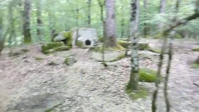 Т. Бабанская. Деревня Дольменов и дольмен Патриарх. Геленджик. Пшада смотреть онлайн