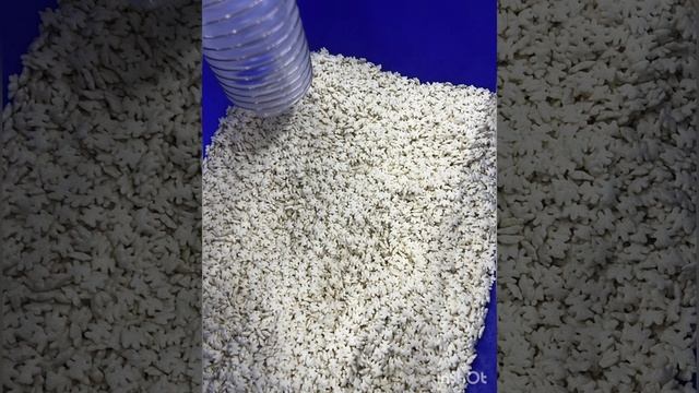 Тест транспортировка Сухие завтраки фигурки животных бережная транспортировка смотреть онлайн