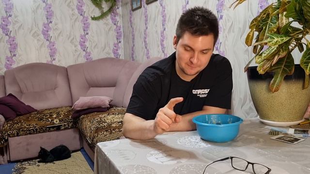 Мой Лев застрял в лифте на 15 этаже 🙀 смотреть онлайн