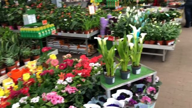 За лопатами за тридевять земель